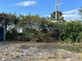  Land for sale in Soe Phloe, Kumphawapi, Soe Phloe