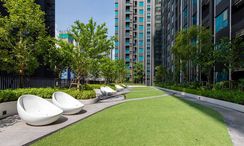 Photo 3 of the Communal Garden Area at Life Asoke Rama 9