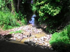  Grundstück zu verkaufen in Si Racha, Chon Buri, Bo Win, Si Racha