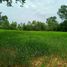  Land for sale in Mueang Chaiyaphum, Chaiyaphum, Ban Lao, Mueang Chaiyaphum