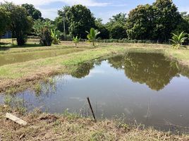  Grundstück zu verkaufen in Kaeng Khoi, Saraburi, Tha Maprang