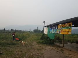  Land for sale in Chiang Mai, Mae Na Wang, Mae Ai, Chiang Mai