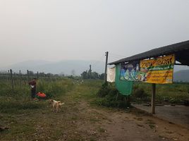  Land for sale in Thailand, Mae Na Wang, Mae Ai, Chiang Mai, Thailand