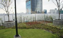 Photo 3 of the Communal Garden Area at Supalai Park Asoke-Ratchada