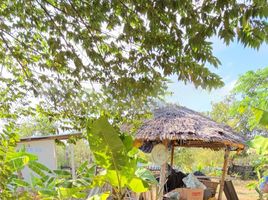 1 Bedroom House for sale in Ban Lat, Phetchaburi, Nong Kapu, Ban Lat