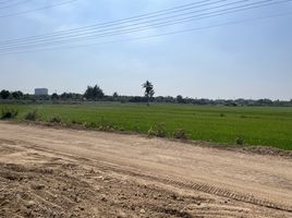  Land for sale in Suphan Buri, Sam Chuk, Sam Chuk, Suphan Buri