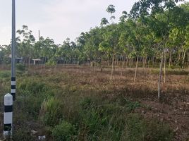  Grundstück zu verkaufen in Klaeng, Rayong, Wang Wa