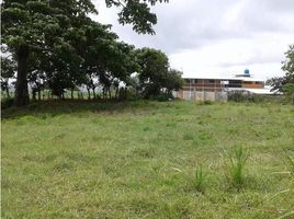  Grundstück zu verkaufen in Baru, Chiriqui, Limones, Baru