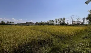 N/A Land for sale in Pa Pong, Chiang Mai 