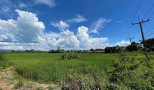 N/A Grundstück zu verkaufen in Si Thoi, Phayao 