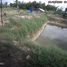  Land for sale in Udon Thani, Phak Top, Nong Han, Udon Thani