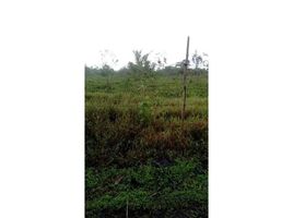  Land for sale in Alajuela, San Carlos, Alajuela