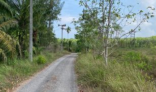 N/A Grundstück zu verkaufen in Lo Yung, Phangnga 