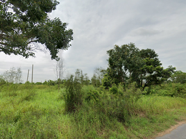  Land for sale in Ongkharak, Ongkharak, Ongkharak