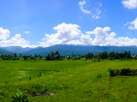 ขายที่ดิน ใน ปัว น่าน, วรนคร