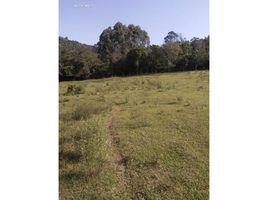  Land for sale in Taquara, Rio Grande do Sul, Taquara, Taquara