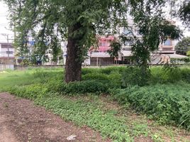  Land for sale in Pru Yai, Mueang Nakhon Ratchasima, Pru Yai