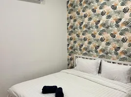 1 Bedroom Condo for rent at Casa Cactus , Bo Phut, Koh Samui, Surat Thani