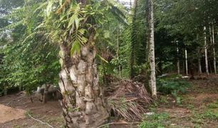 N/A Land for sale in Rommani, Phangnga 