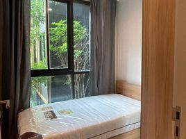 1 Bedroom Apartment for rent at Nue Noble Centre Bang Na, Bang Na, Bang Na