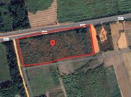  Land for sale in Ban Rai, Uthai Thani, Ban Bueng, Ban Rai