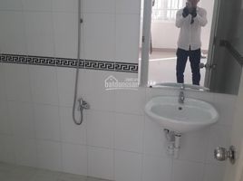 Studio House for rent in Binh Hung, Binh Chanh, Binh Hung