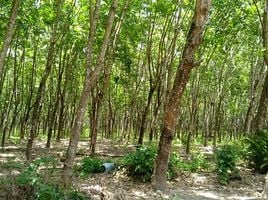  Grundstück zu verkaufen in Mueang Mukdahan, Mukdahan, Ban Khok