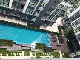 Studio Condo for sale at Kensington Laemchabang-Sriracha, Thung Sukhla