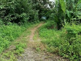  Land for sale in Song, Phrae, Huai Mai, Song
