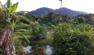 N/A Grundstück zu verkaufen in Pa Khlok, Phuket 