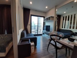 1 Bedroom Condo for rent at Wyne Sukhumvit, Phra Khanong