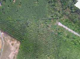  Land for sale in Thalang, Phuket, Pa Khlok, Thalang