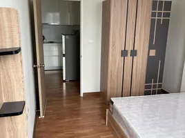 คอนโด 1 ห้องนอน ให้เช่า ในโครงการ เดอะ โคสต์ แบงค็อก, บางนา