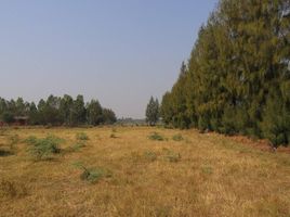  Land for sale in Bang Pahan, Phra Nakhon Si Ayutthaya, Khwan Mueang, Bang Pahan