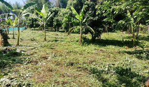 N/A Land for sale in Mae Raem, Chiang Mai 