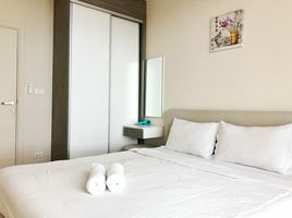 1 Schlafzimmer Wohnung zu vermieten im The Base Downtown, Wichit, Phuket Town