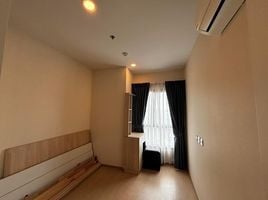 2 Schlafzimmer Wohnung zu vermieten im The Tree Sukhumvit 71-Ekamai, Suan Luang, Suan Luang