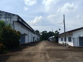  Warehouse for sale in Si Maha Phot, Prachin Buri, Krok Sombun, Si Maha Phot