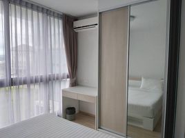 Studio Condo for rent at Connext, Talat Nuea, Phuket Town, Phuket