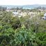  Land for sale in Bang Tao Beach, Choeng Thale, Choeng Thale