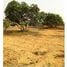  Land for sale in Tamil Nadu, Tiruttani, Thiruvallur, Tamil Nadu