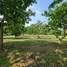  Land for sale in Chiang Rai, Huai Sak, Mueang Chiang Rai, Chiang Rai