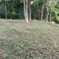  Land for sale in Ko Si Boya, Krabi, Ko Si Boya