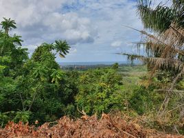  Land for sale in Mai Khao, Thalang, Mai Khao