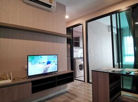 1 Bedroom Apartment for sale at Notting Hill Sukhumvit 105, Bang Na, Bang Na, Bangkok