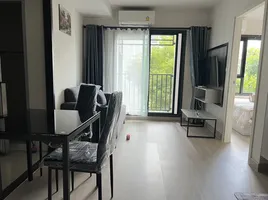 Студия Кондо на продажу в Escent Park Ville Chiangmai, Fa Ham