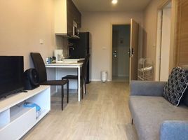 1 Schlafzimmer Appartement zu verkaufen im Palm Springs Nimman Phoenix, Suthep, Mueang Chiang Mai, Chiang Mai