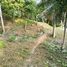  Land for sale in Phuket, Kathu, Kathu, Phuket