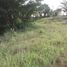  Land for sale in Thap Kwang, Kaeng Khoi, Thap Kwang