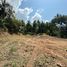  Land for sale in Surat Thani, Ban Tai, Ko Pha-Ngan, Surat Thani